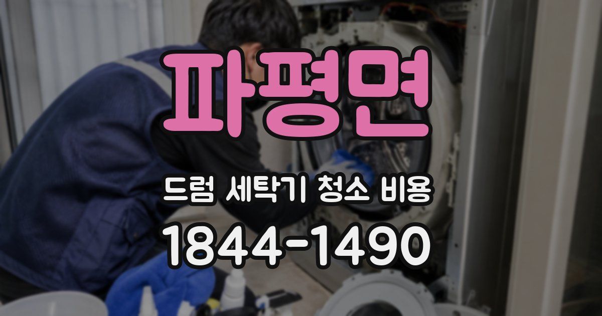 파평면 드럼 세탁기 청소 비용