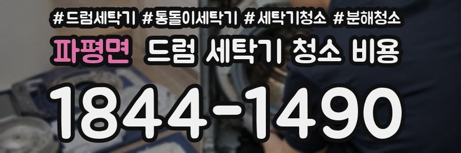 파평면 드럼 세탁기 청소 비용