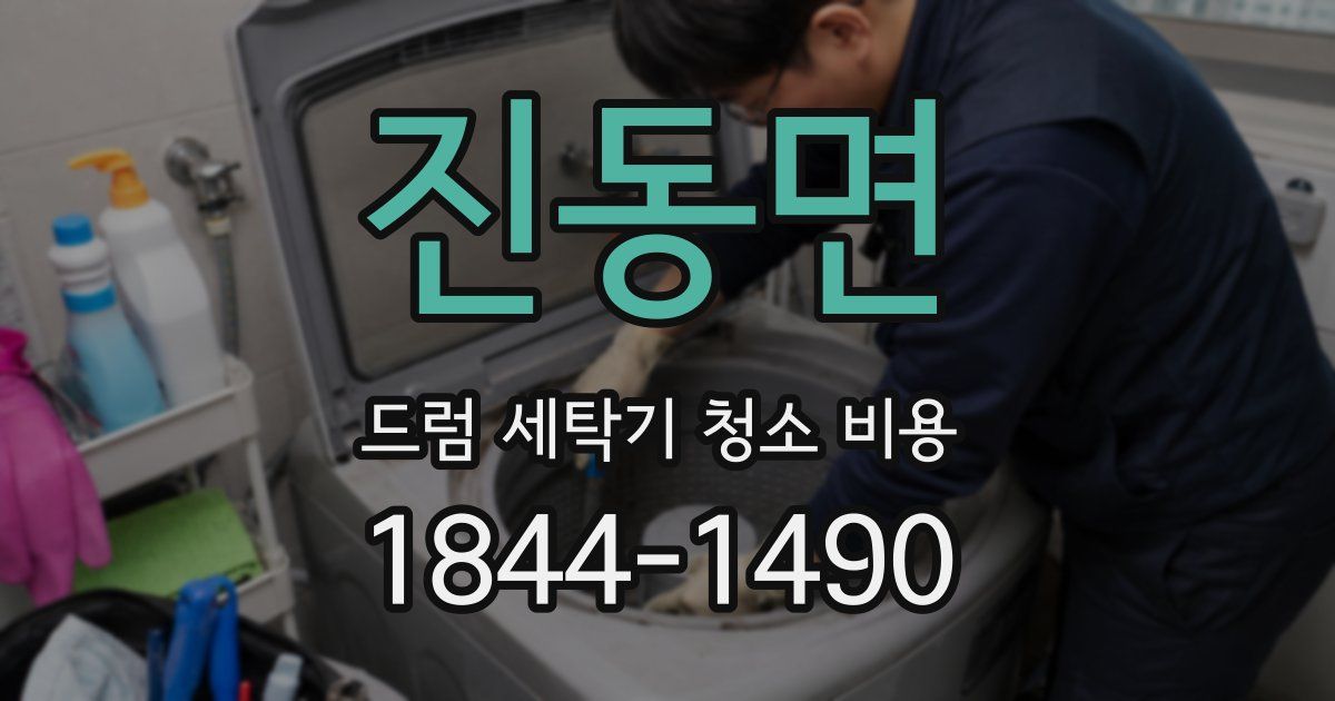 진동면 드럼 세탁기 청소 비용