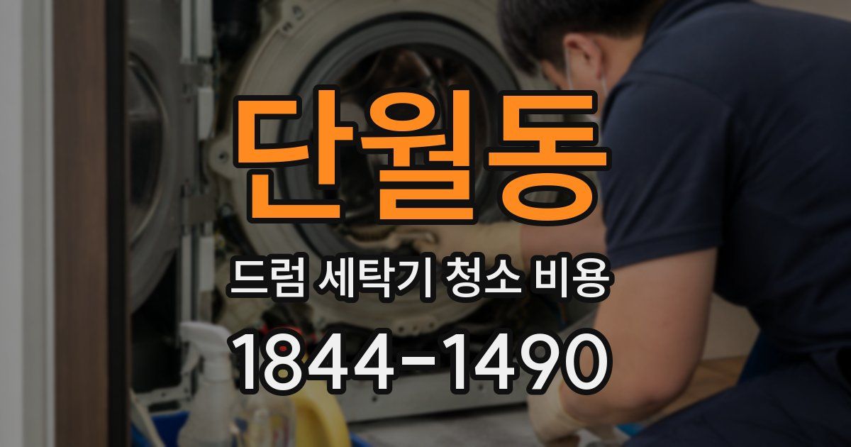 단월동 드럼 세탁기 청소 비용