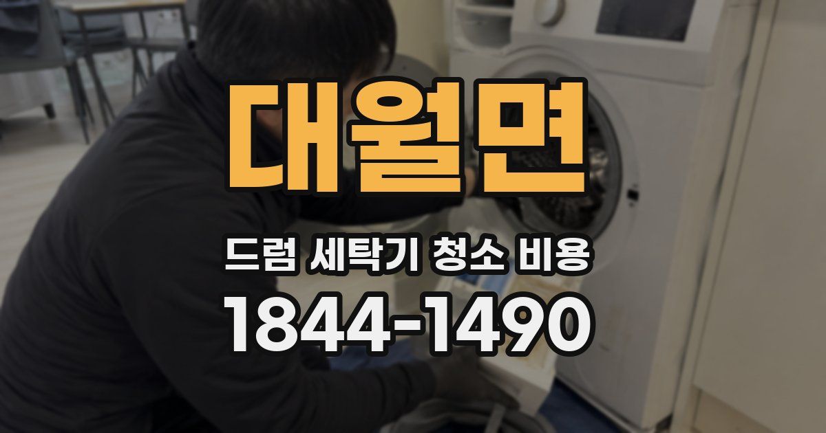대월면 드럼 세탁기 청소 비용