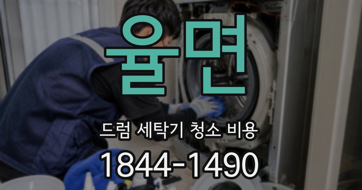 율면 드럼 세탁기 청소 비용