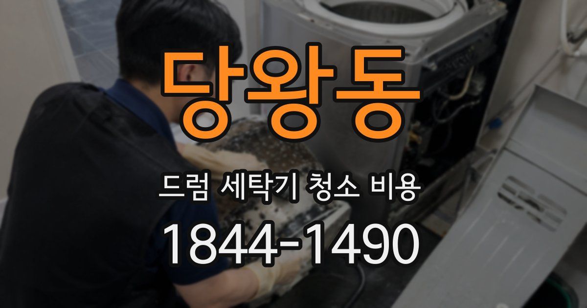당왕동 드럼 세탁기 청소 비용
