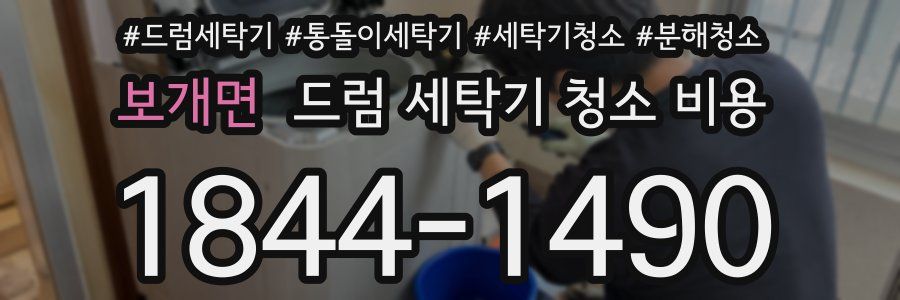 보개면 드럼 세탁기 청소 비용