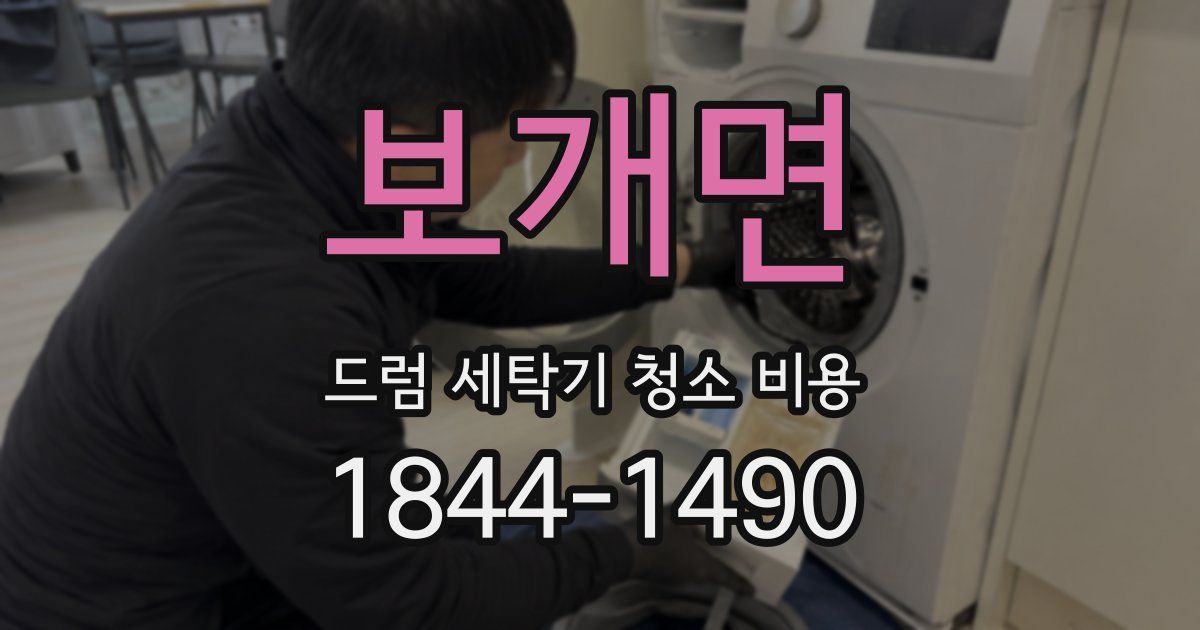 보개면 드럼 세탁기 청소 비용