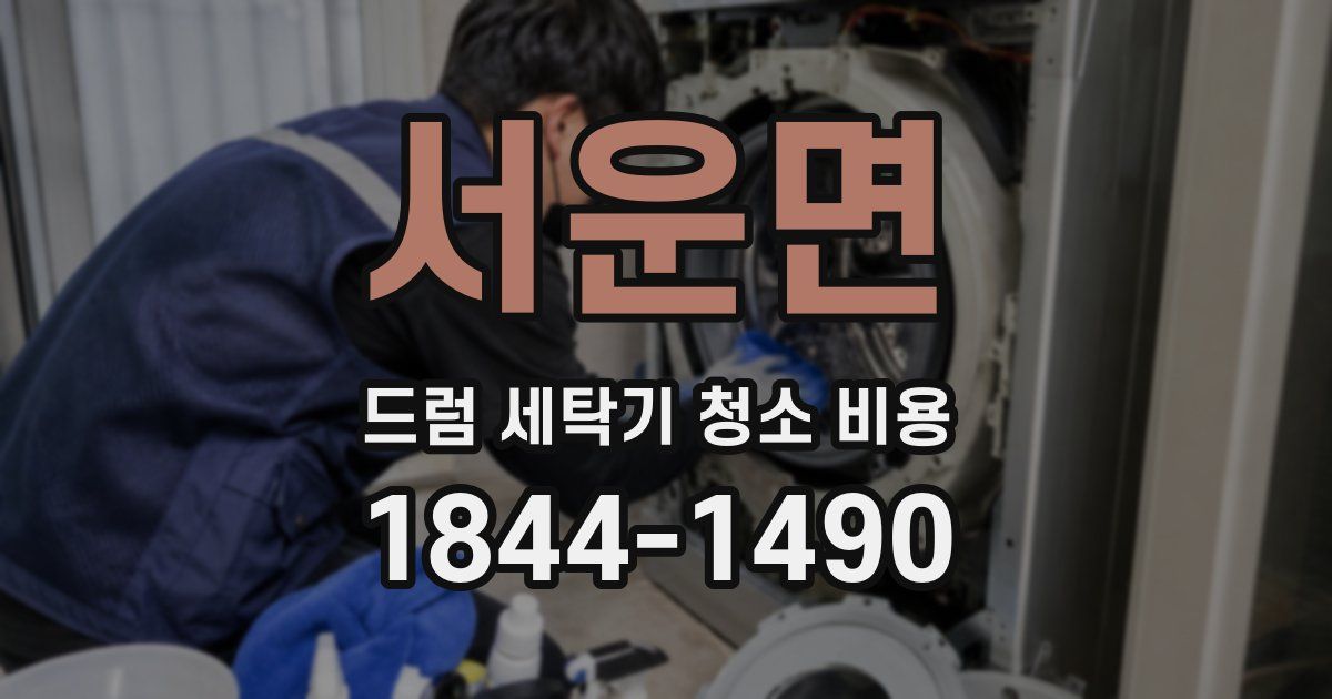 서운면 드럼 세탁기 청소 비용