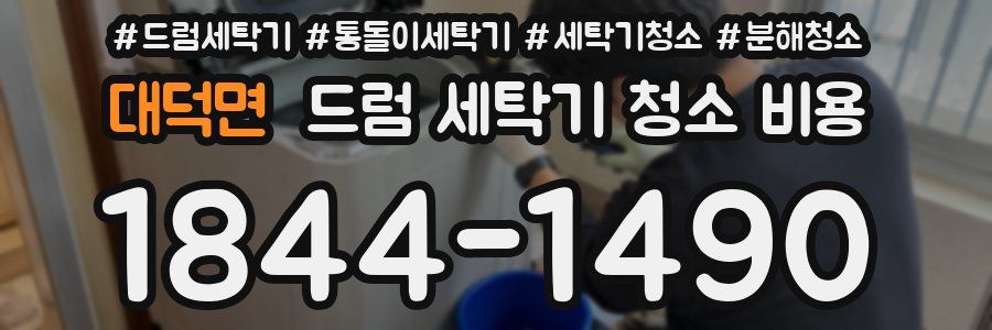 대덕면 드럼 세탁기 청소 비용