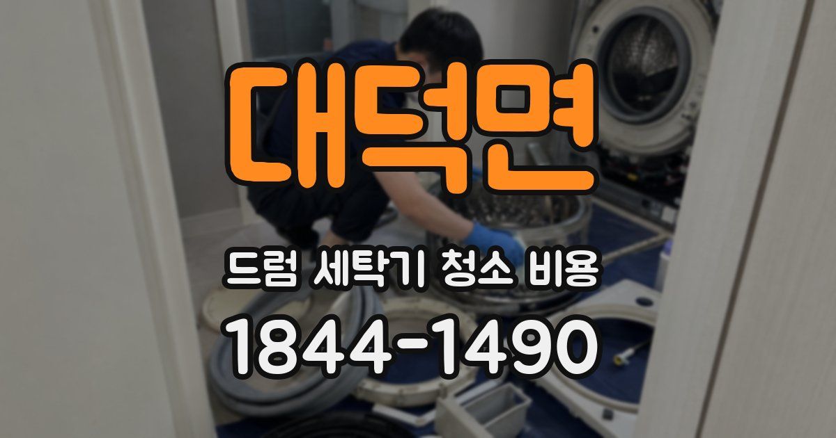 대덕면 드럼 세탁기 청소 비용