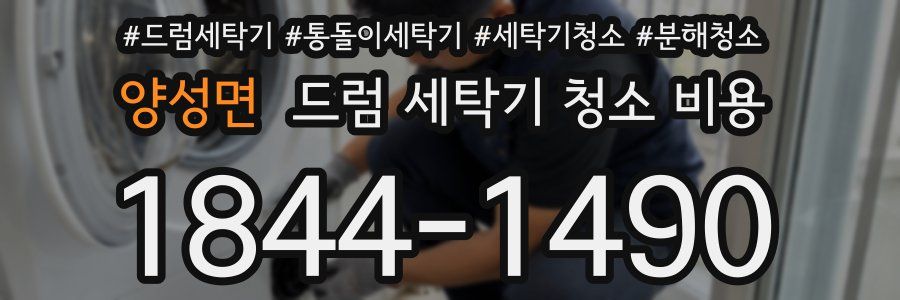 양성면 드럼 세탁기 청소 비용
