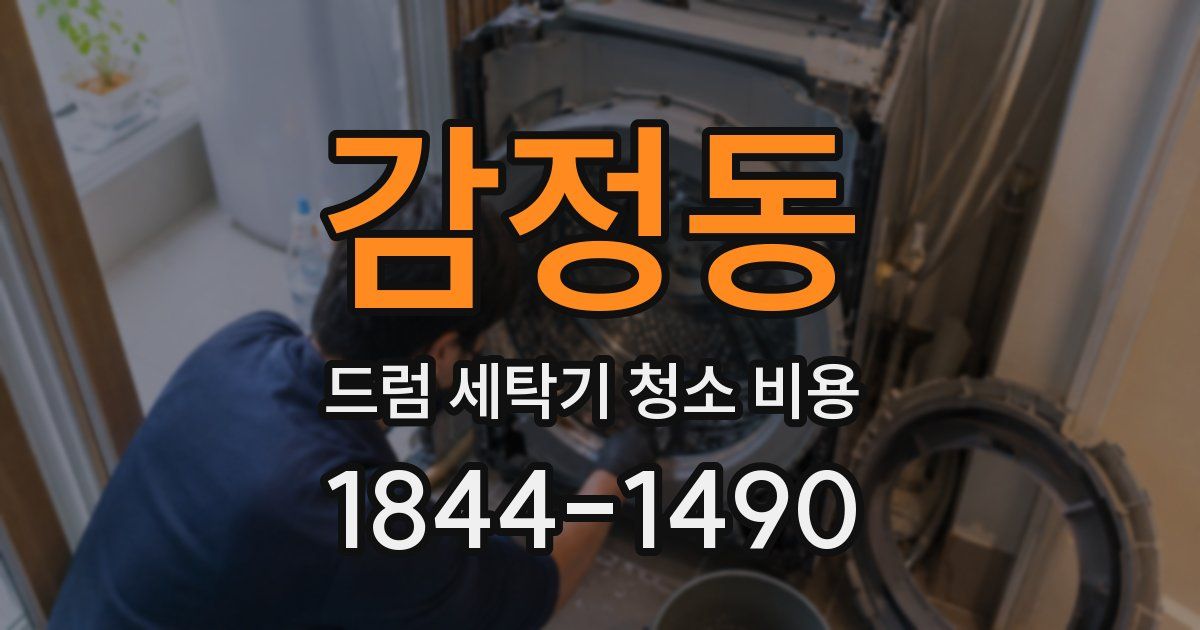감정동 드럼 세탁기 청소 비용