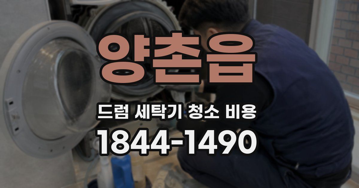 양촌읍 드럼 세탁기 청소 비용
