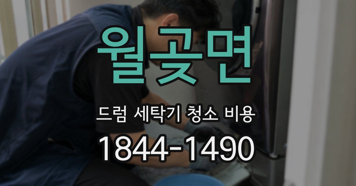 월곶면 드럼 세탁기 청소 비용