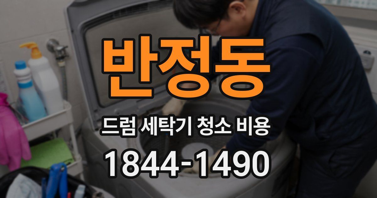 반정동 드럼 세탁기 청소 비용