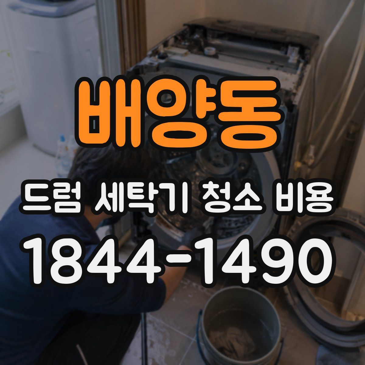 배양동 드럼 세탁기 청소 비용