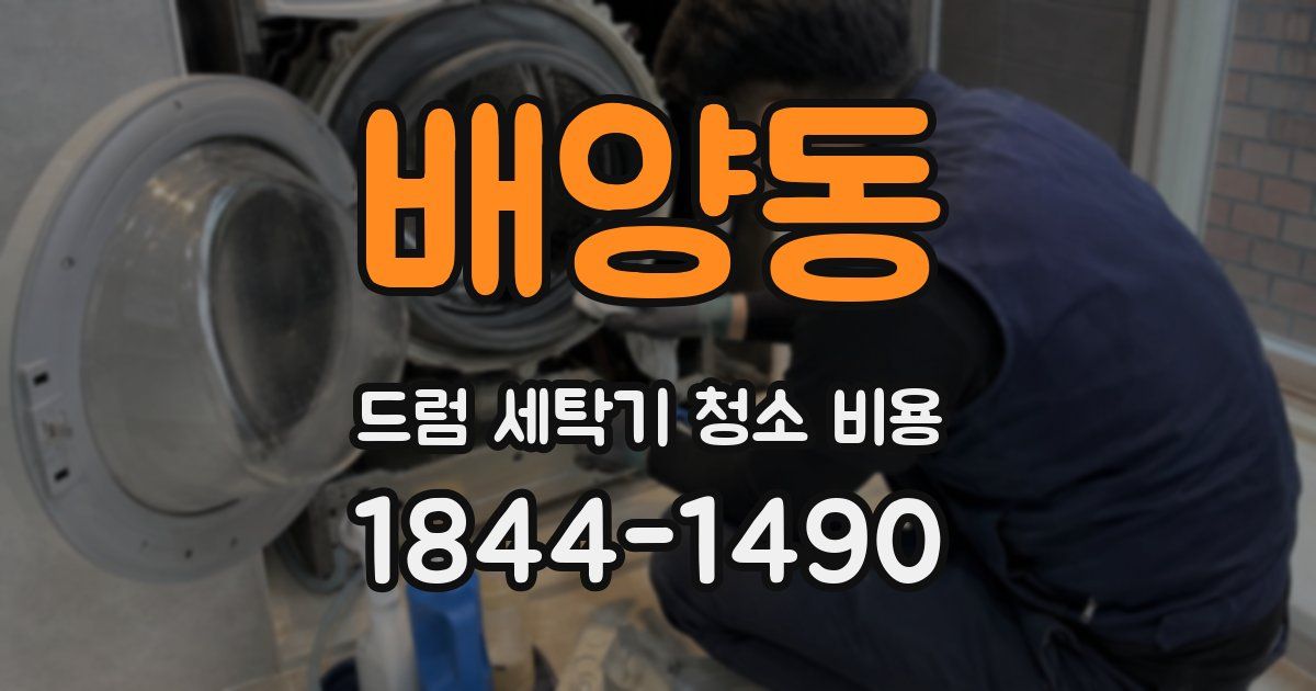 배양동 드럼 세탁기 청소 비용