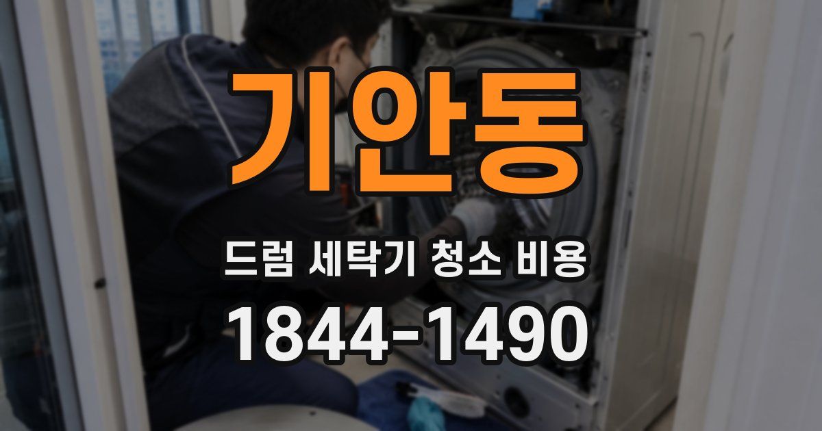 기안동 드럼 세탁기 청소 비용
