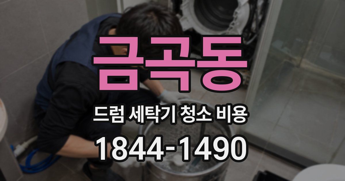 금곡동 드럼 세탁기 청소 비용