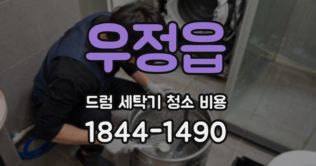 우정읍 드럼 세탁기 청소 비용