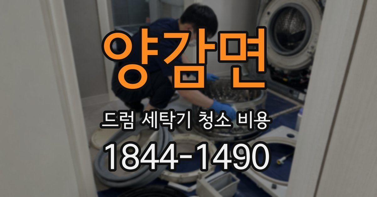 양감면 드럼 세탁기 청소 비용