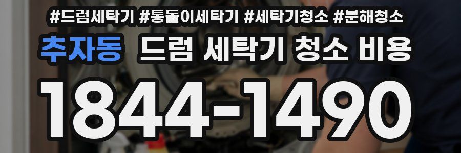 추자동 드럼 세탁기 청소 비용