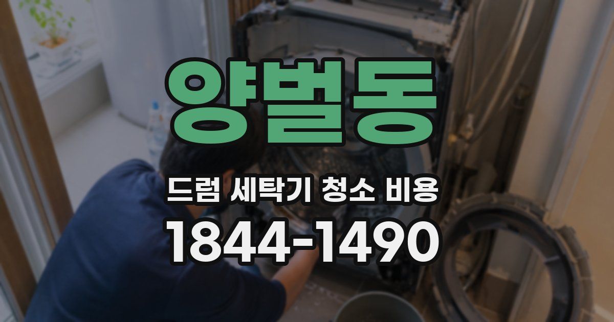 양벌동 드럼 세탁기 청소 비용