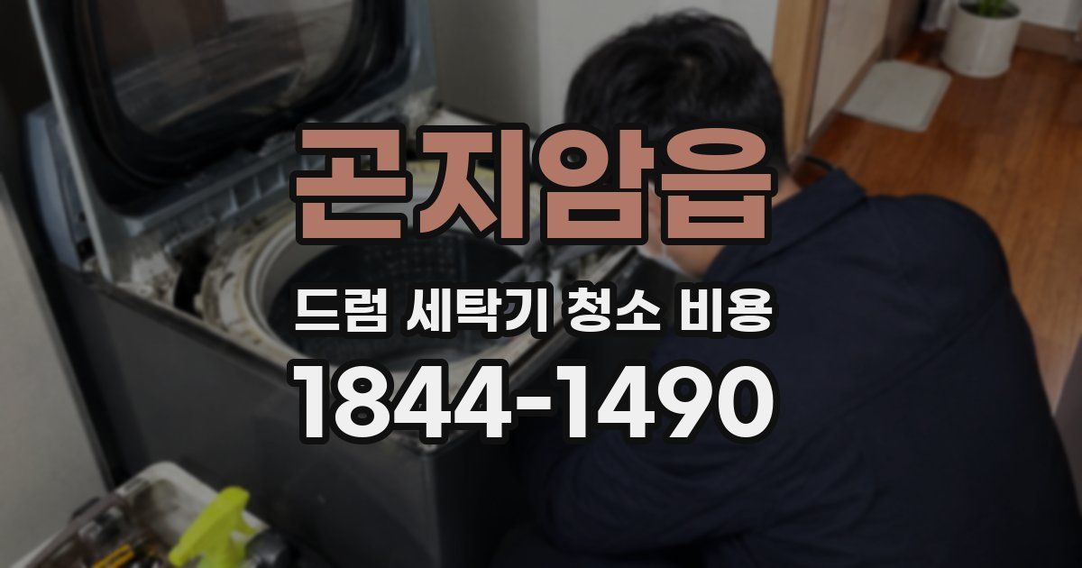 곤지암읍 드럼 세탁기 청소 비용