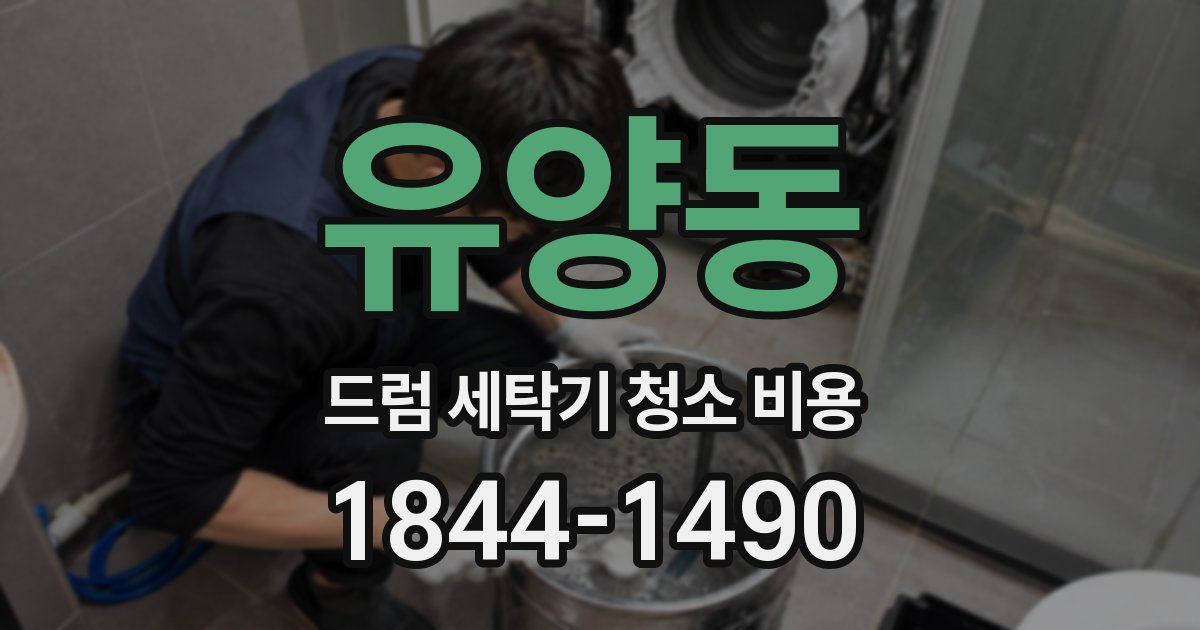 유양동 드럼 세탁기 청소 비용