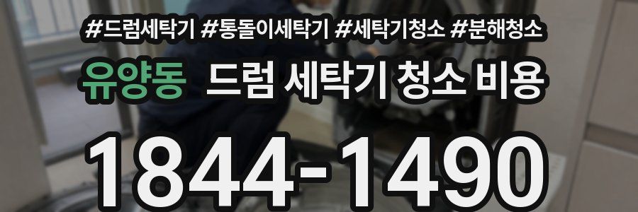 유양동 드럼 세탁기 청소 비용