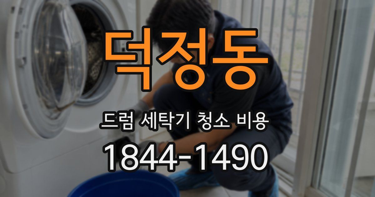 덕정동 드럼 세탁기 청소 비용