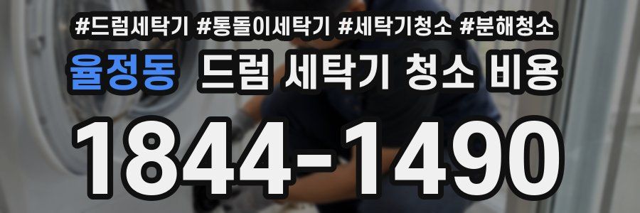 율정동 드럼 세탁기 청소 비용