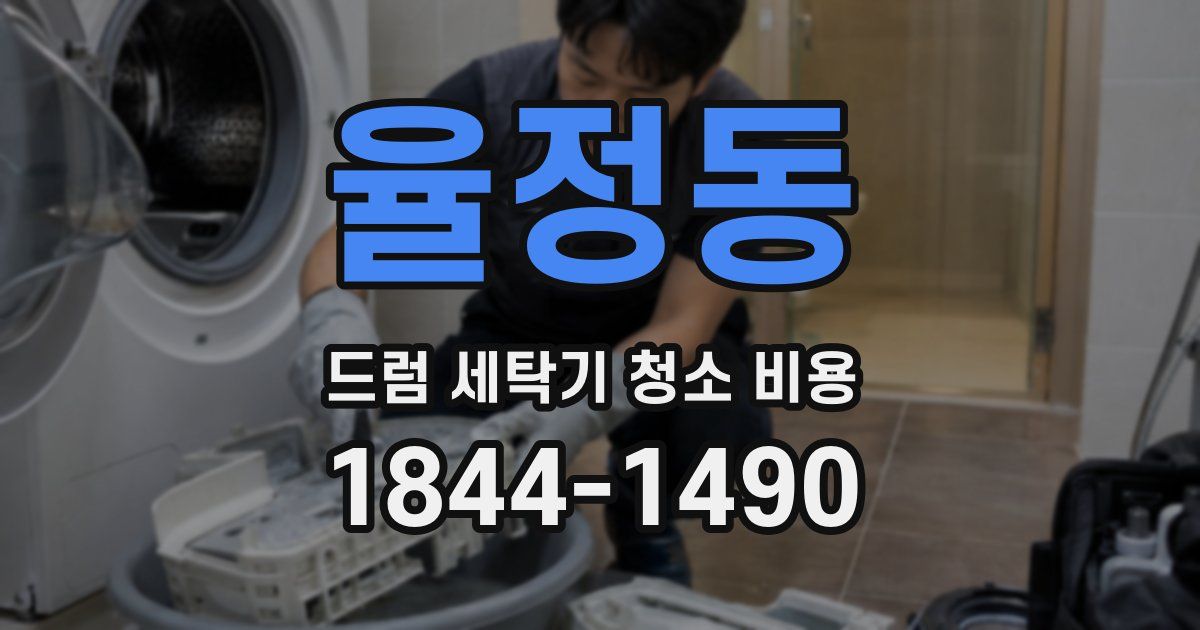 율정동 드럼 세탁기 청소 비용