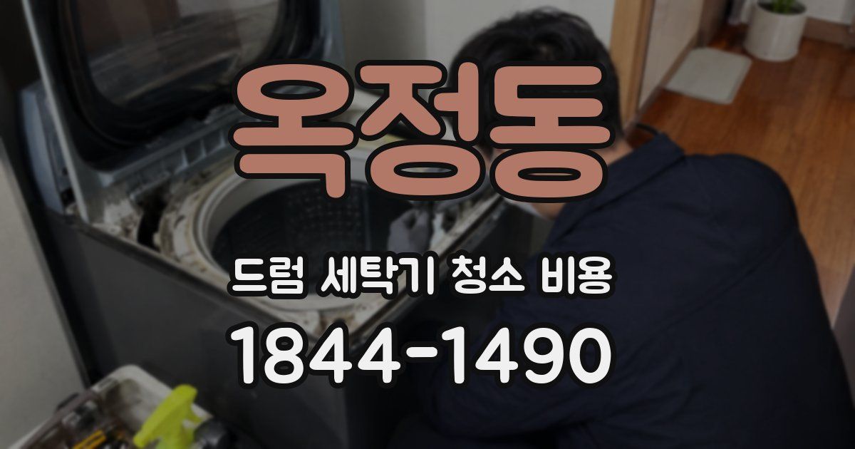 옥정동 드럼 세탁기 청소 비용