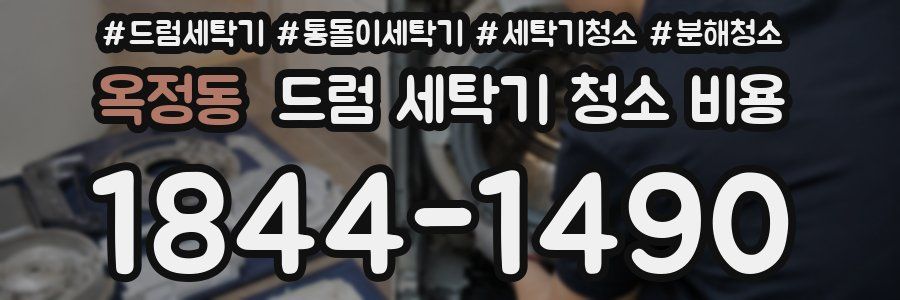 옥정동 드럼 세탁기 청소 비용