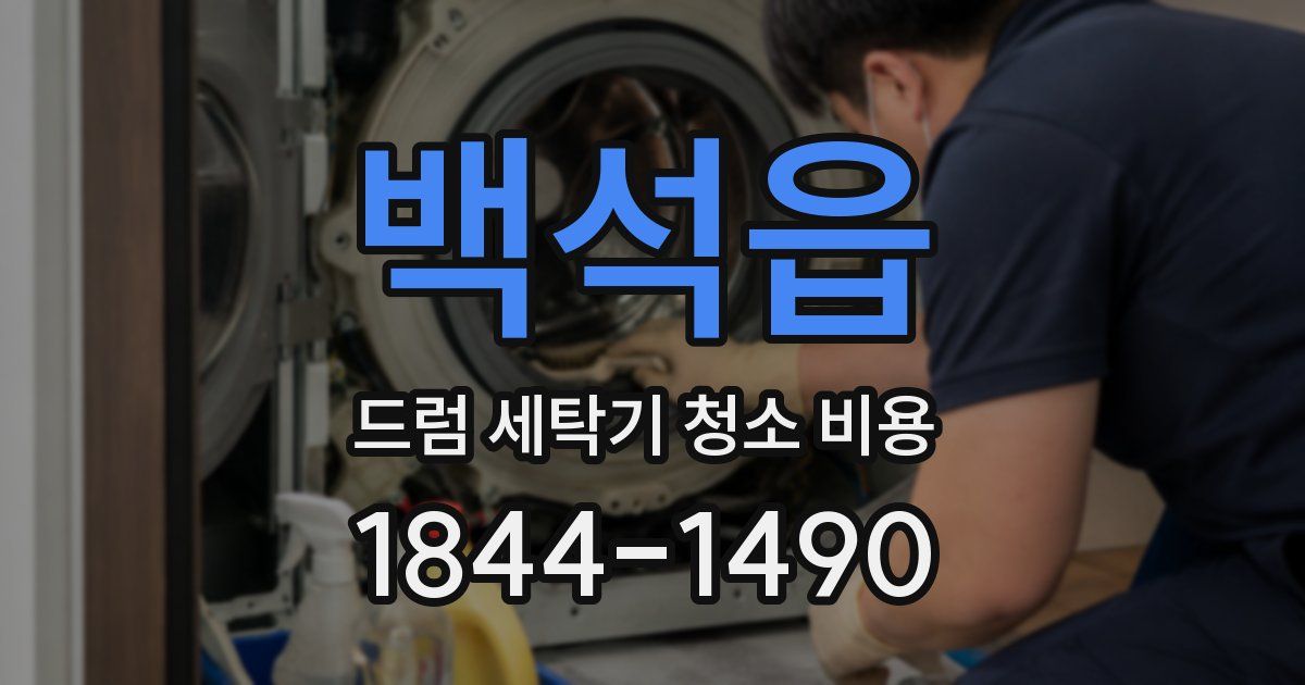 백석읍 드럼 세탁기 청소 비용