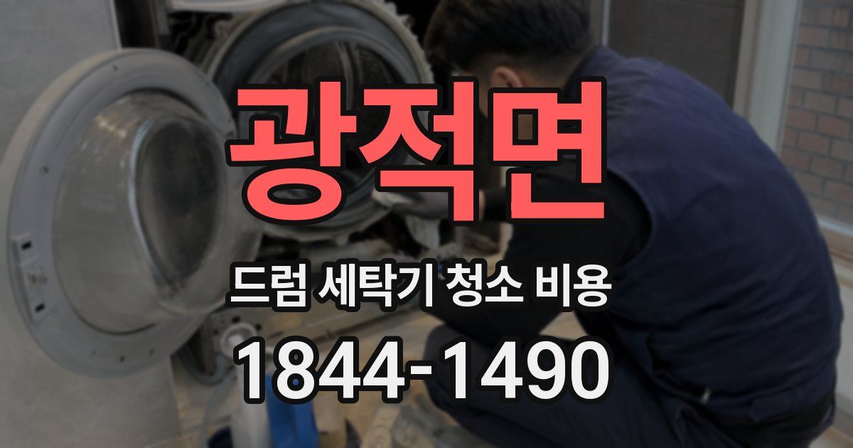 광적면 드럼 세탁기 청소 비용