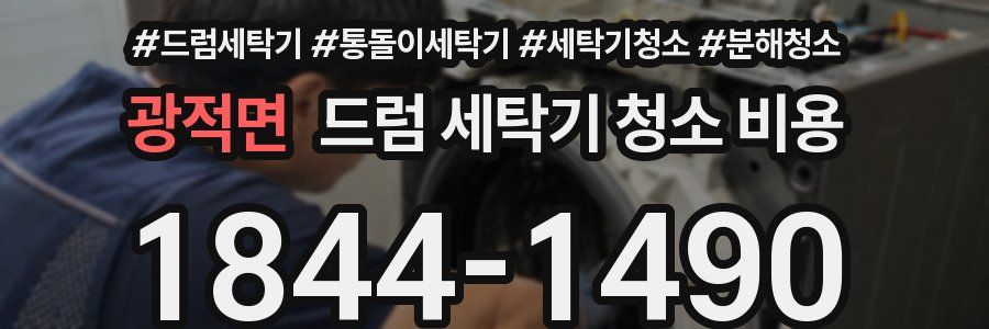 광적면 드럼 세탁기 청소 비용