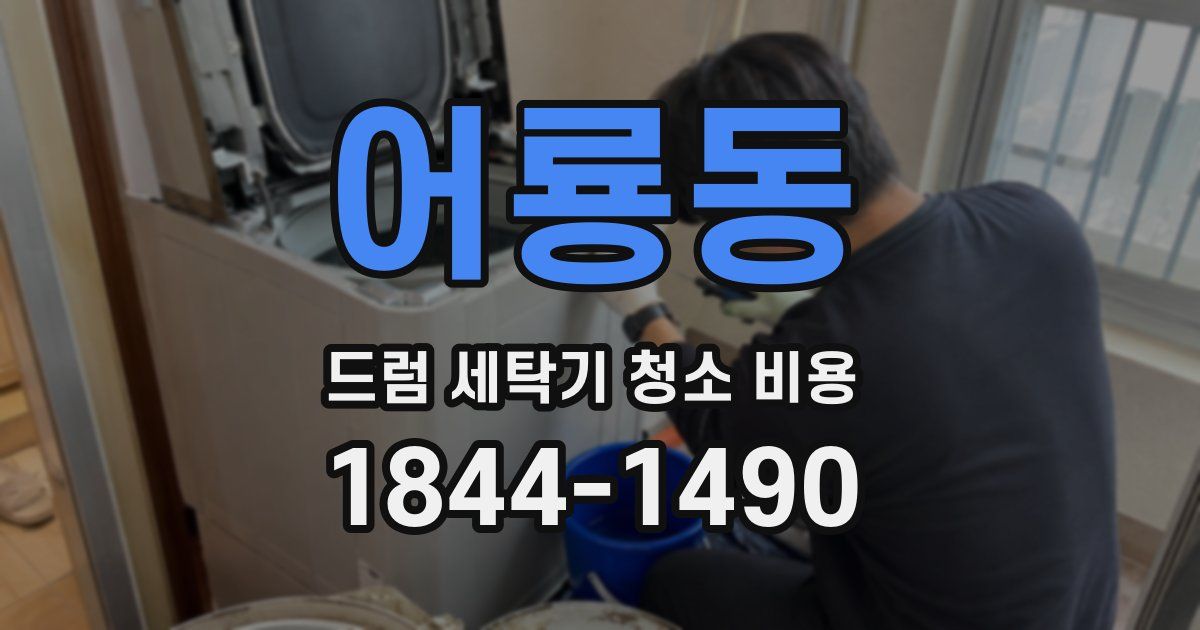 어룡동 드럼 세탁기 청소 비용