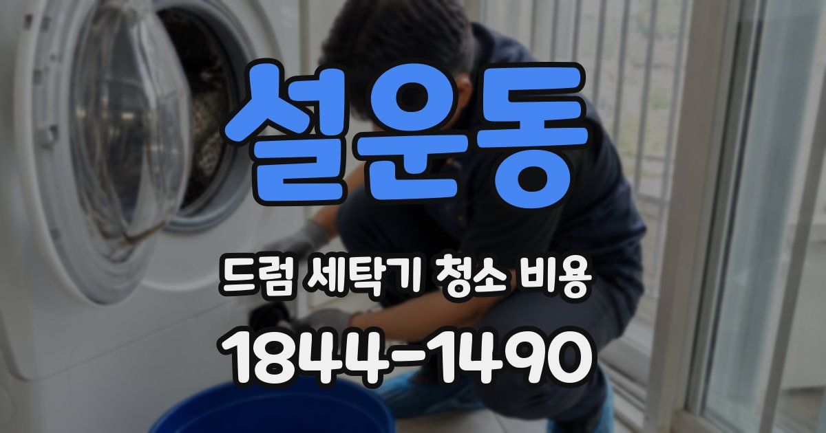 설운동 드럼 세탁기 청소 비용