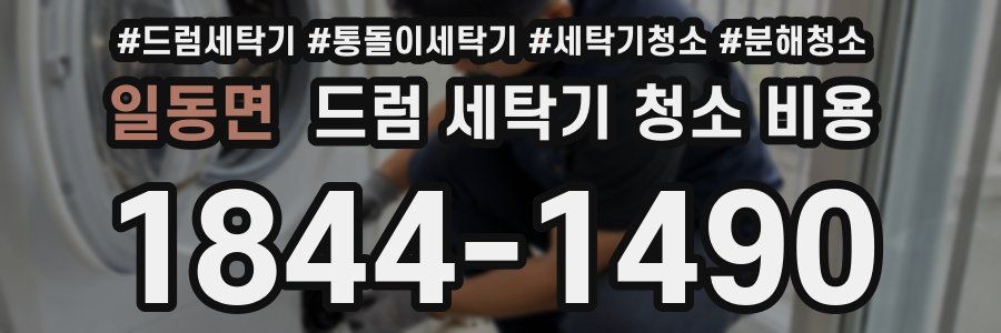 일동면 드럼 세탁기 청소 비용