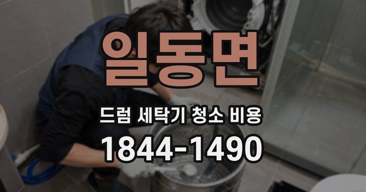 일동면 드럼 세탁기 청소 비용