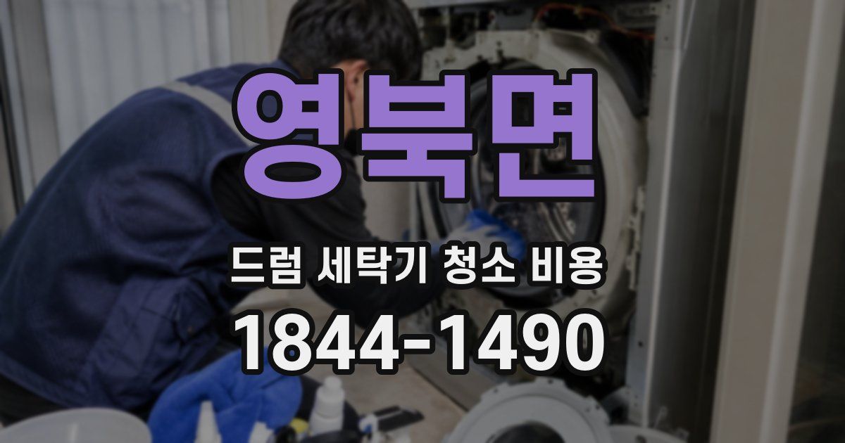 영북면 드럼 세탁기 청소 비용