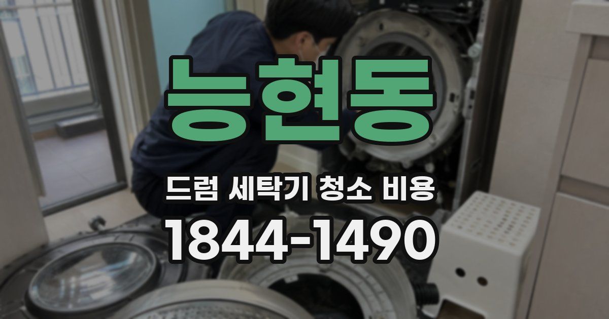 능현동 드럼 세탁기 청소 비용