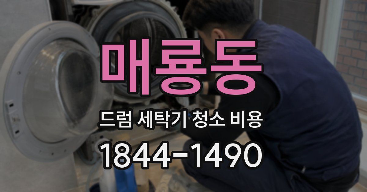 매룡동 드럼 세탁기 청소 비용
