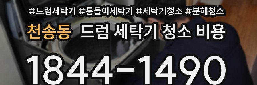 천송동 드럼 세탁기 청소 비용