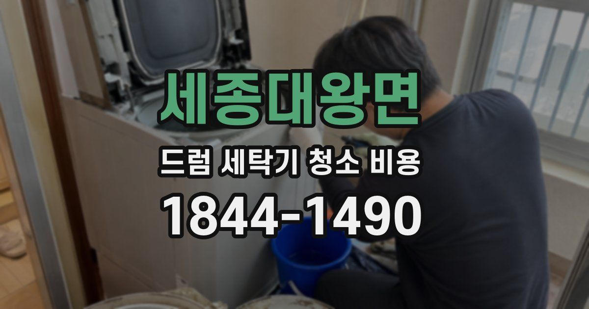 세종대왕면 드럼 세탁기 청소 비용