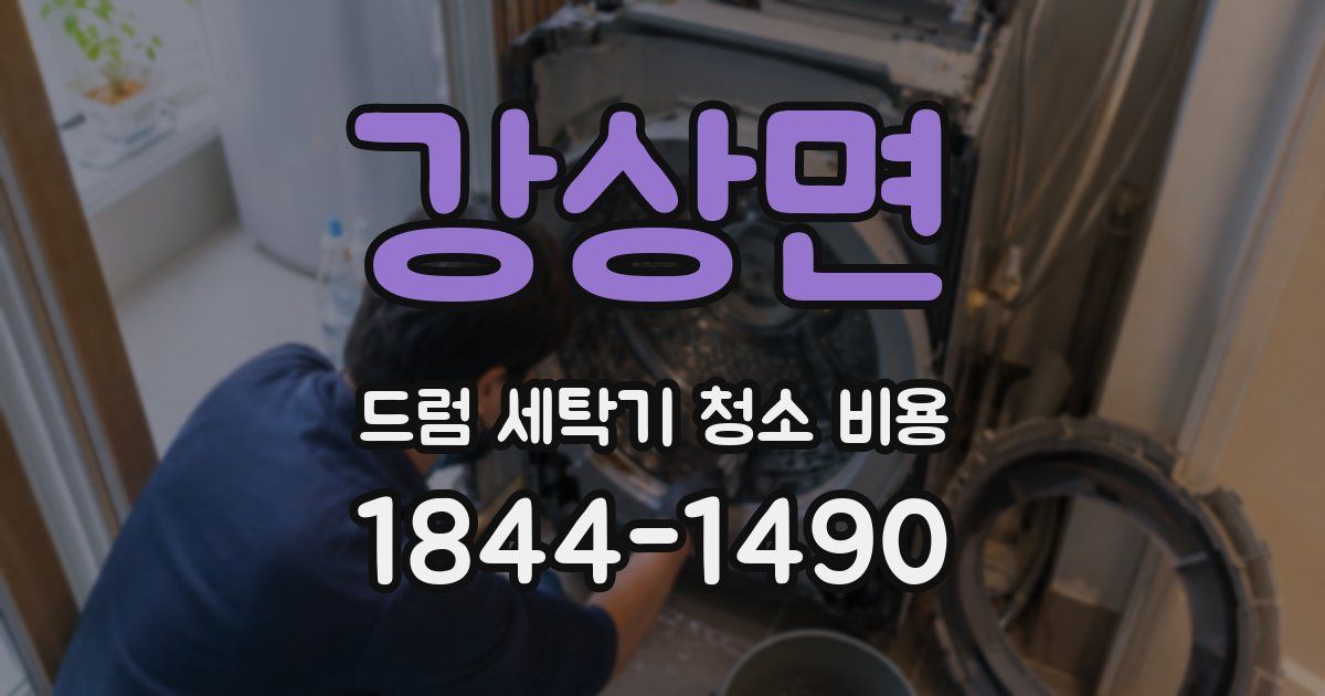 강상면 드럼 세탁기 청소 비용