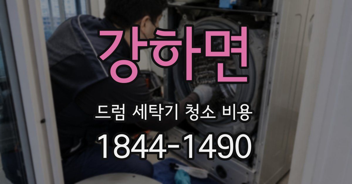 강하면 드럼 세탁기 청소 비용