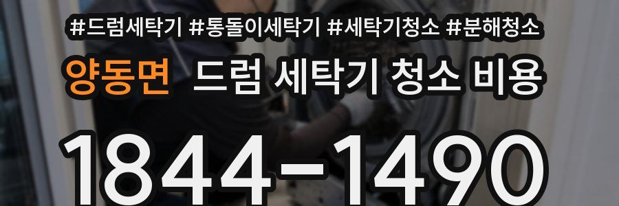 양동면 드럼 세탁기 청소 비용