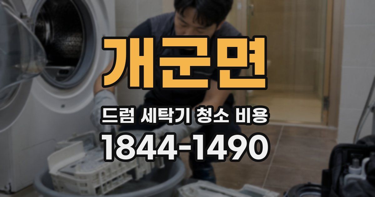 개군면 드럼 세탁기 청소 비용