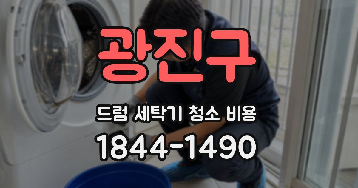 광진구 드럼 세탁기 청소 비용